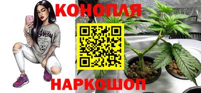 хмурый Дубна