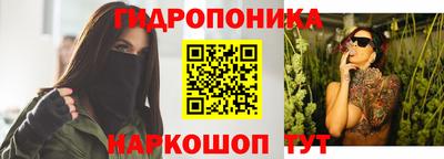 хмурый Дубна