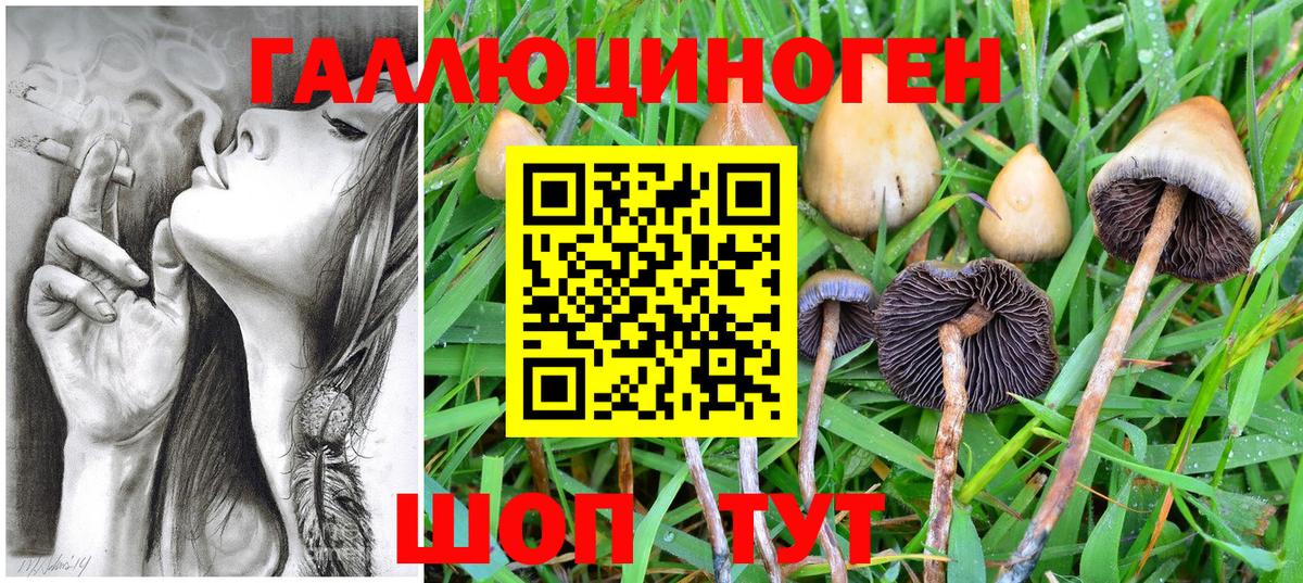 Псилоцибиновые грибы мухоморы Хабаровск
