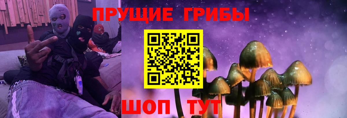Галлюциногенные грибы MAGIC MUSHROOMS  Вход с VPN  Хабаровск 